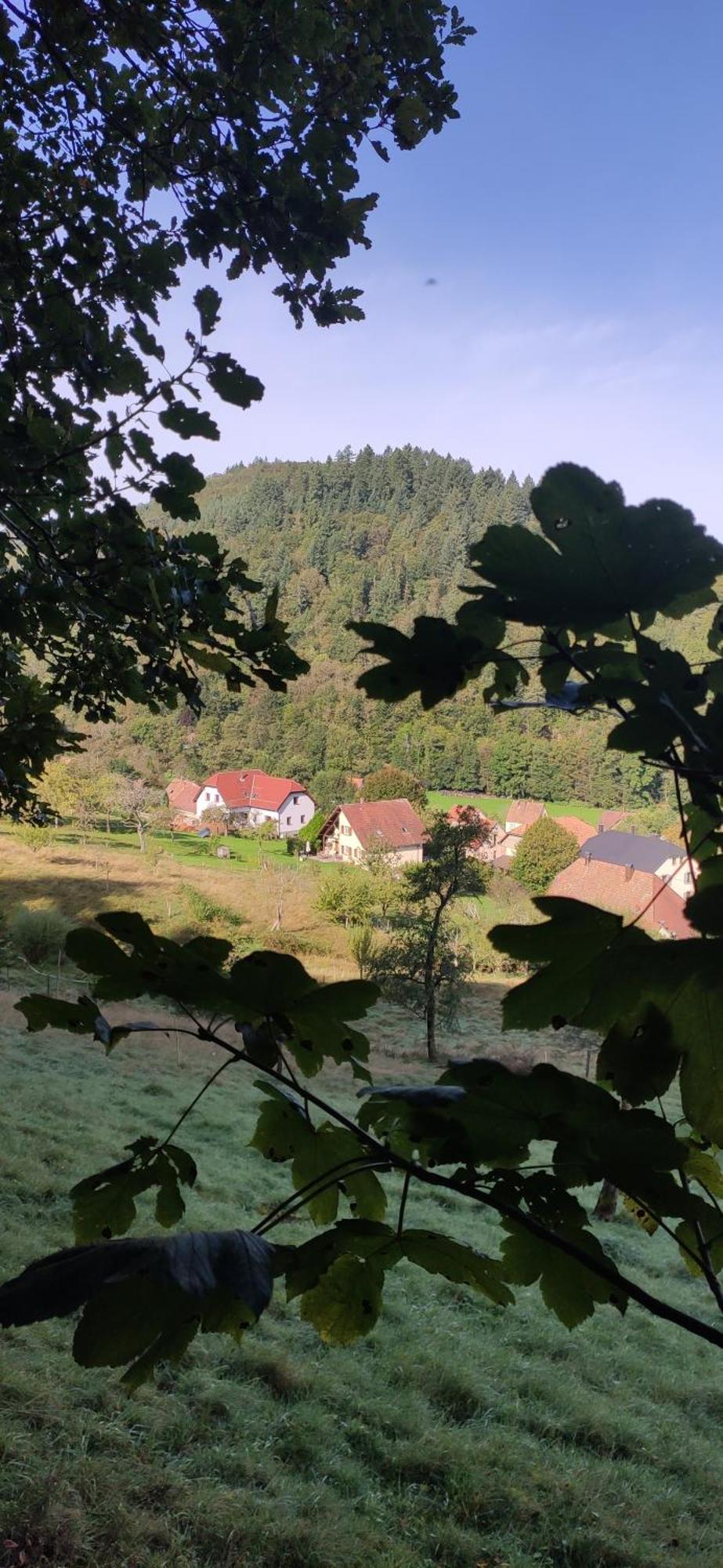 Appartement Douillet Avec Vue Sur Les Montagnes Fouchy Exterior foto